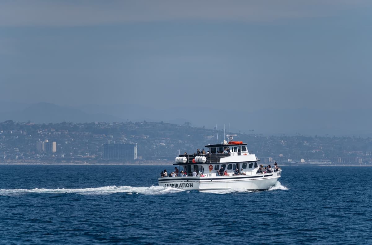 Accumulation 2026: Tracking Whale Movements Before Narrative Shifts
