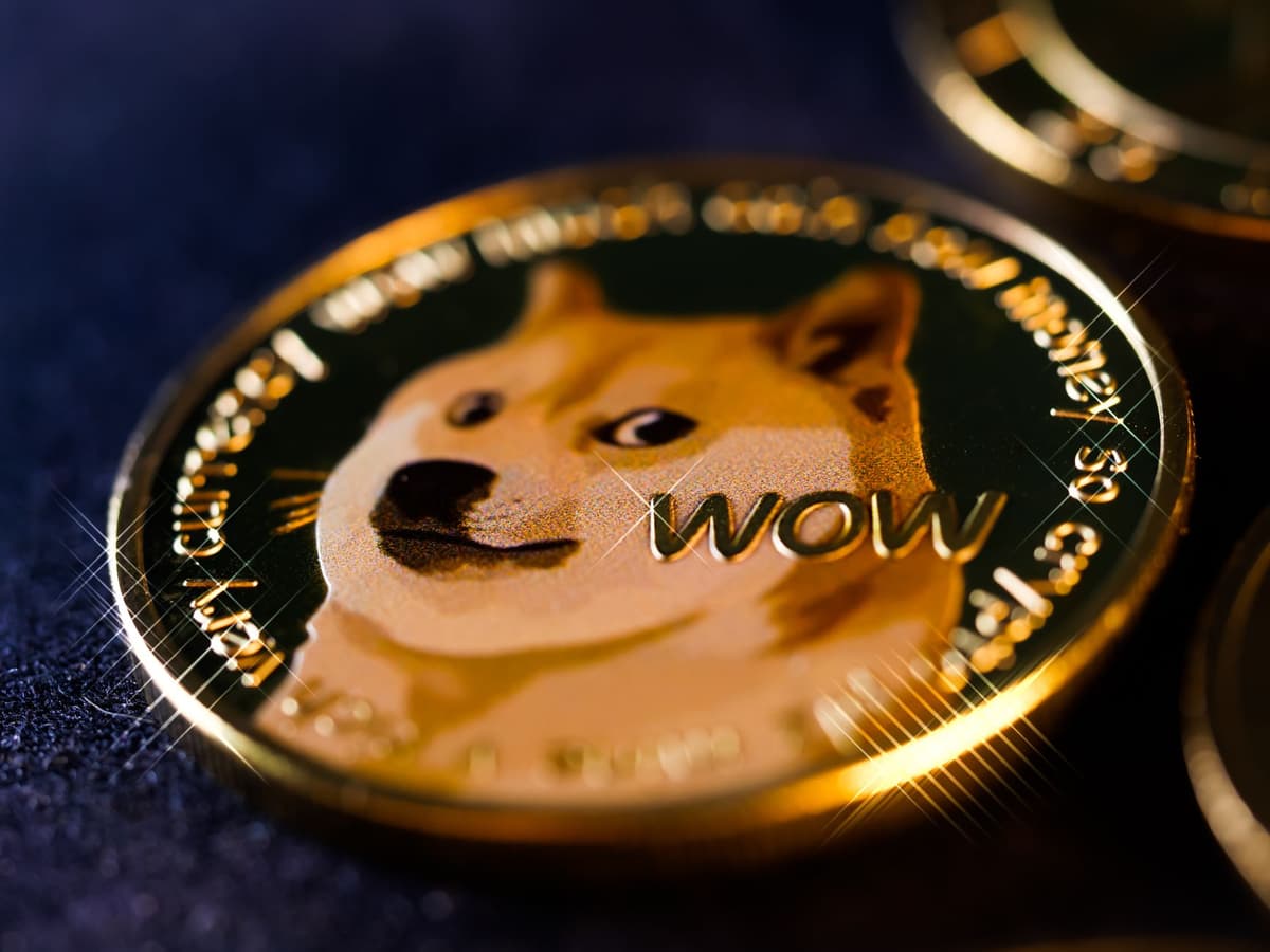 Dogecoin and SHIB Market Analysis: Navigating 2026 Consolidation