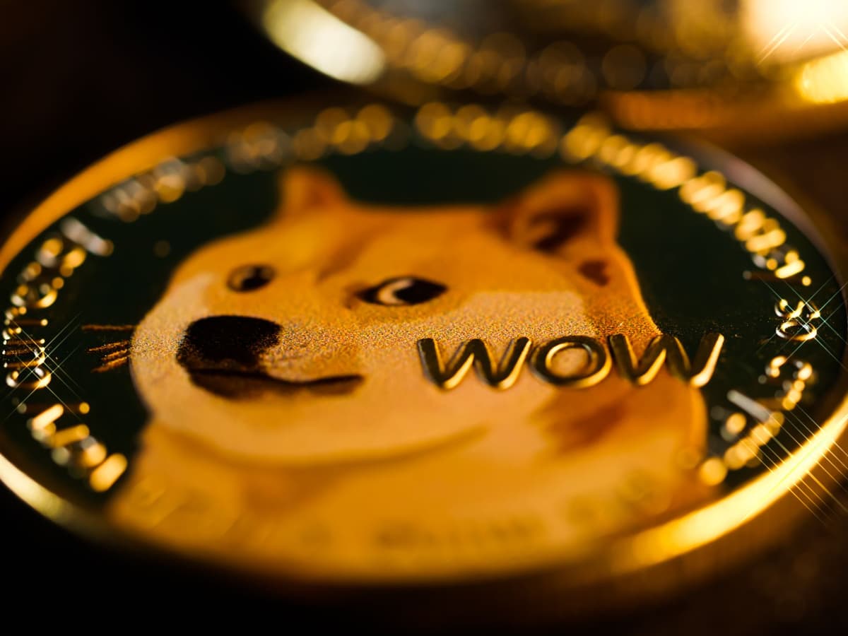 Dogecoin vs Shiba Inu: Navigating the 2026 Memecoin Market Landscape