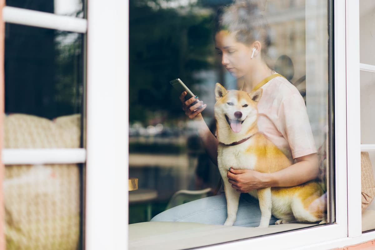 Shiba Inu vs. BONK: A 2026 Perspective on Memecoin Market Dynamics