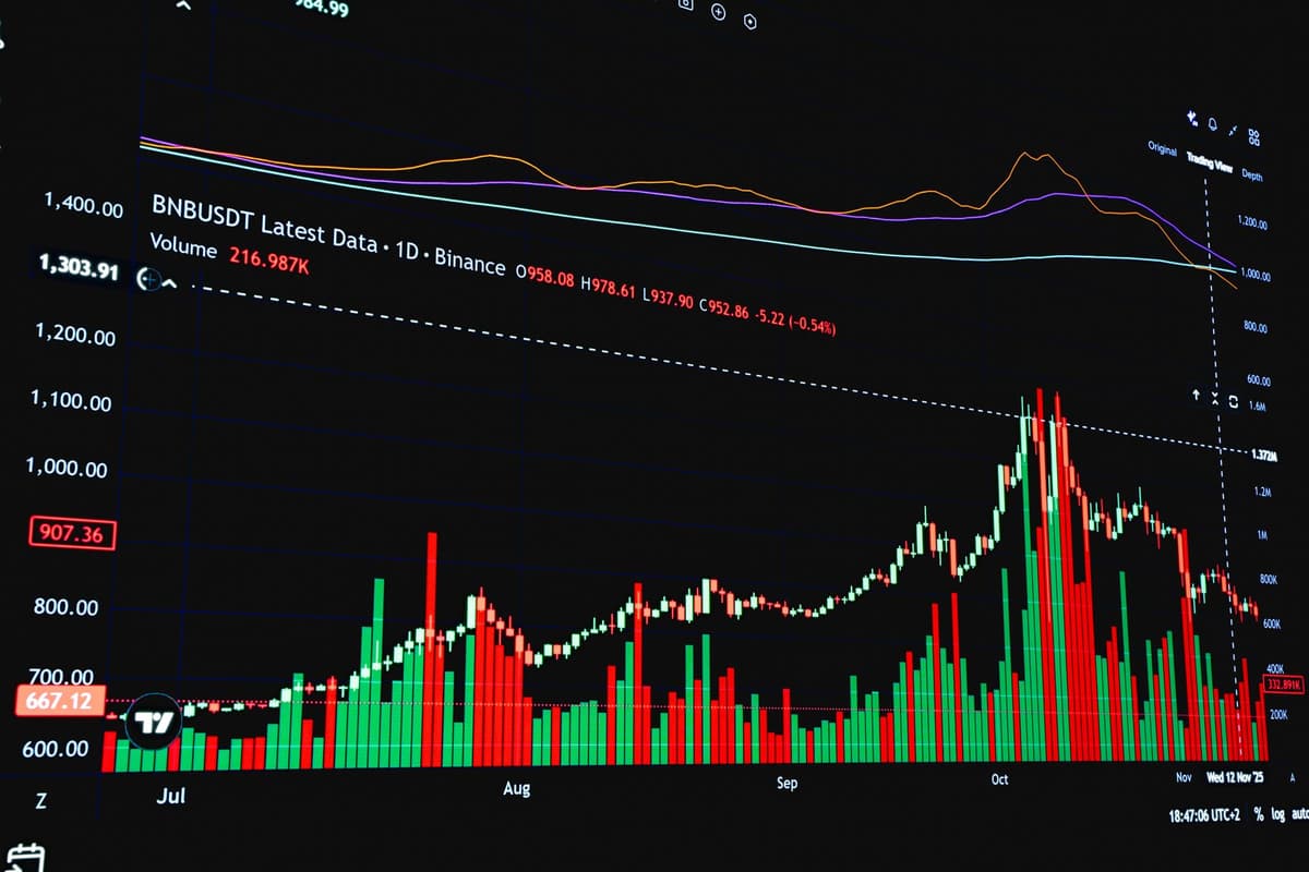 Memecoin Disconnect: Navigating the 2026 Divergence Between Hype and Volume