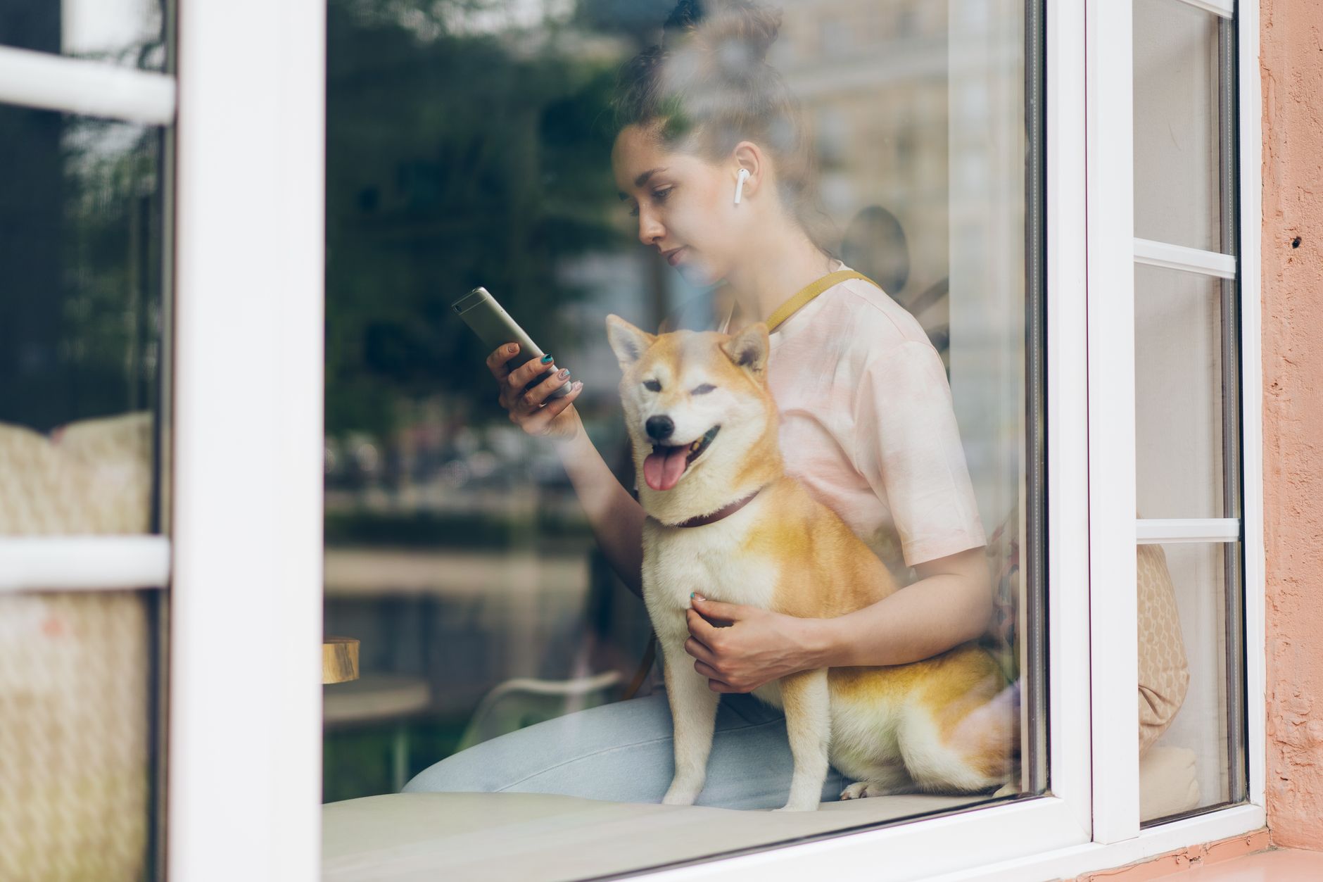 Ilustrasi: A woman sits by a window using her smartphone with her shiba inu dog, enjoying a relaxed moment indoors.