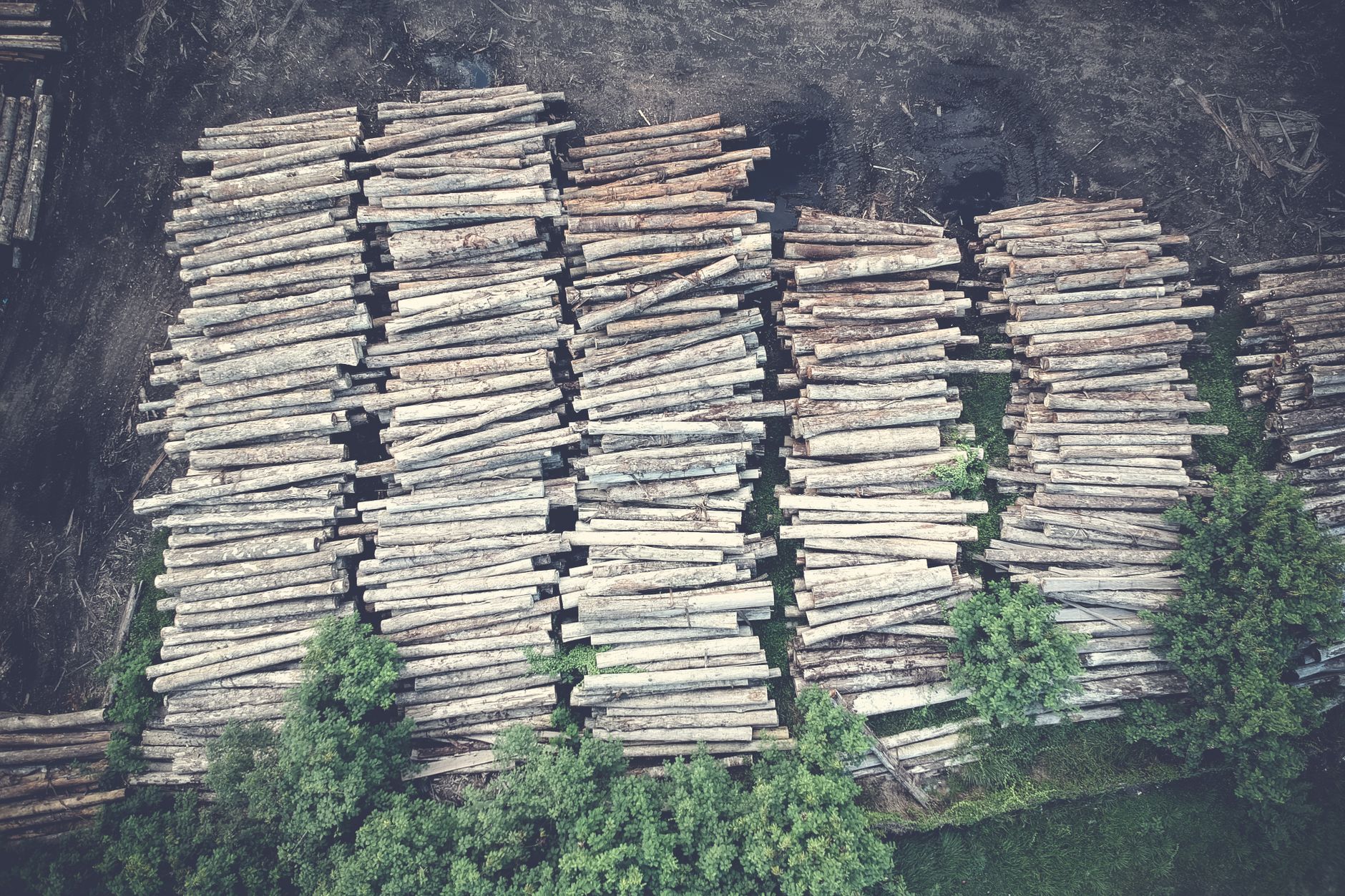 Ilustrasi: Aerial shot of neatly stacked logs in a forest clearing, showcasing the logging industry and deforestation.