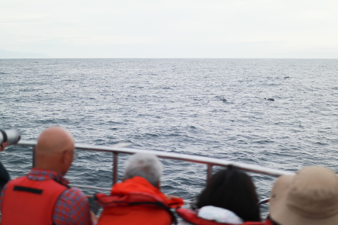 Ilustrasi: A group of people on a boat watching a whale
