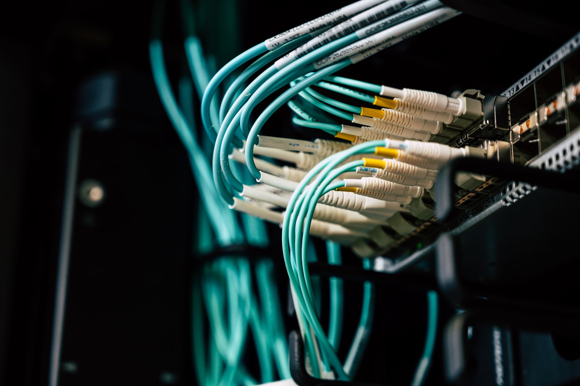 Ilustrasi: Detailed view of network cables plugged into a server rack in a data center.